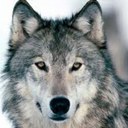 Patrick Kimber - @Dark_knight3969 - Twitter