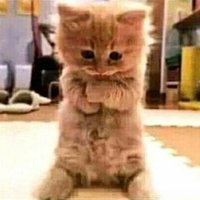 💀💛MÂÑGÀ💛💀 (@mrkh_15) Twitter profile photo