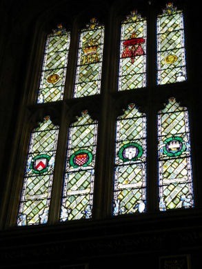 elfymacdonald's profile picture. 