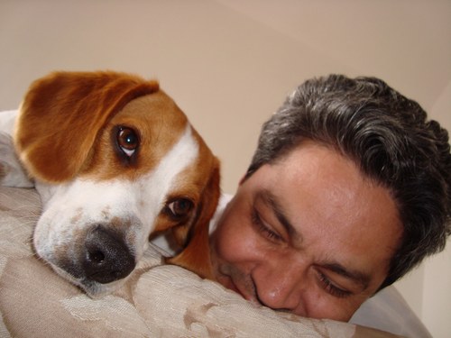 Pepefitozepeda's profile picture. Asesor en Administracion y Financiamiento Agropecuario y Diseño de Paisaje