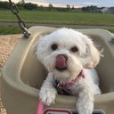 Candy McKay - @mckay_candy - Twitter