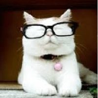 Catturdᅠᅠᅠᅠᅠᅠᅠᅠᅠᅠᅠᅠᅠᅠᅠᅠᅠᅠᅠᅠᅠᅠᅠᅠᅠᅠᅠᅠᅠᅠᅠᅠᅠᅠᅠᅠ__ (@somebodyssecond) 's Twitter Profile