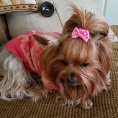 vapunkin7's profile picture. 