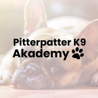 Pitterpatter k9 Akadamy(@PAkadamy) 's Twitter Profile Photo