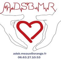 ADSB de Meaux et sa Région (@adsbde) 's Twitter Profile Photo ADSB de Meaux et sa Région (@adsbde) 's Twitter Profile Photo
