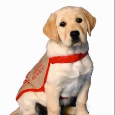 Providing guide dogs to Canadians who are blind & visually-impaired. Serving 🇨🇦 since 1984.