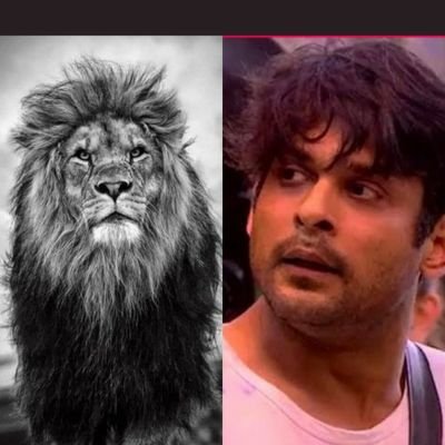 Sidheart4ever's profile picture. Fangirl of :
❤️Virat Kohli❤️
❤️ Sidharth Shukla❤️
Only Viratians and Sidhearts are allowed🌹❤️🤗