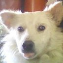 Lynette Joy P. Deza - @poodol_7 - Twitter