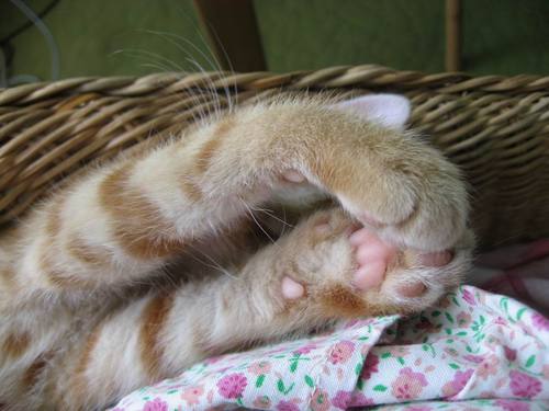 szzwq's profile picture. 