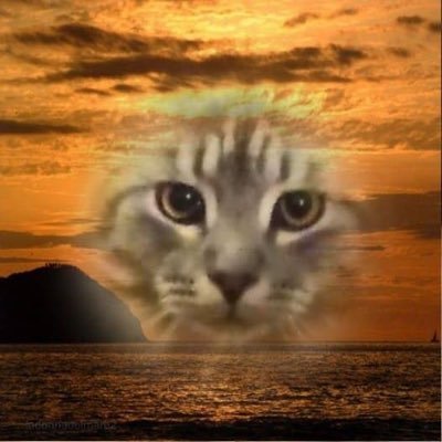 BBanks710's profile picture. 