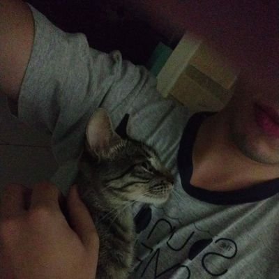 JLiseras's profile picture. ing