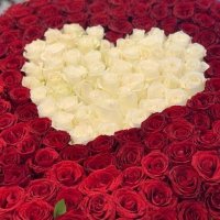أحمد آل غيلان 🌹🌹 (@oo22pp4) 's Twitter Profile