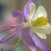 Nature of Colorado (@natureofco) Twitter profile photo Nature of Colorado (@natureofco) Twitter profile photo
