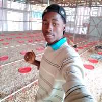 Adamu Wadi (@wadi_adamu) 's Twitter Profile