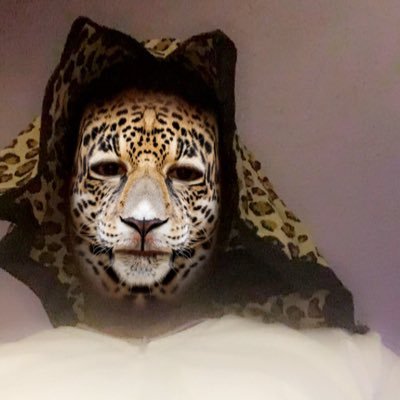 CheetahKing_800 Profile Picture