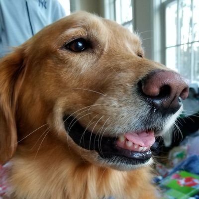 jwsenecal's profile picture. Father, Photojournalist and Baseball Junkie!