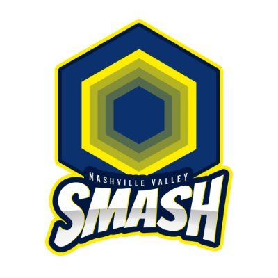 @Teamchargeshot 's premier Super Smash Bros and FGC crew, and your favorite *fake* region 💙💛🖤