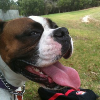 St_axx's profile picture. 