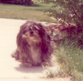 Kevin Sandler Profile