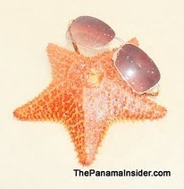 sanblaspanama's profile picture. Pick where to go for your San Blas Vacation/ Conoce donde a viajar en San Blas, Panama!