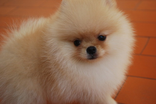 ariefjc's profile picture. 