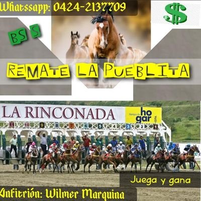 Los invitamos a participar en los remates y oficina por whassapt con todo la seriedad que amerita... TLf 04242137709 para contactanos