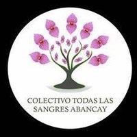 Colectivo Todas Las Sangres Abancay(@CTLSabancay) 's Twitter Profile Photo