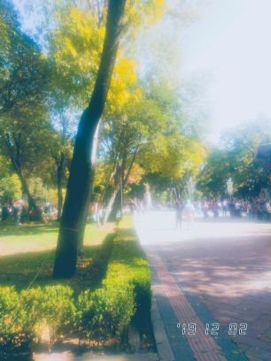 Melrami32252513's profile picture. 