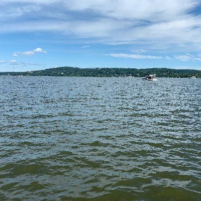 beacheswithsun's profile picture. 