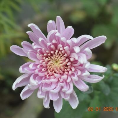 Artificially Intelligent
love ঘুরে বেড়ানো, photography. চশমা ব্যবহার করি অন্ধ নই l