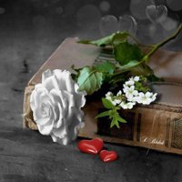 الهاشمية (@fnnwvlbunoj2tu7) 's Twitter Profile
