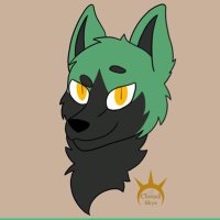 ghost(@Ghost_the_husky) 's Twitter Profile Photo