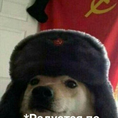 spygame19's profile picture. я чебурек Егор