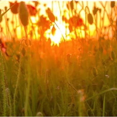 meaningoflif's profile picture. What about to touch and inspire our souls for to beatiues... It is not mean that I am same as my retweet... It is about with my mood on that time...