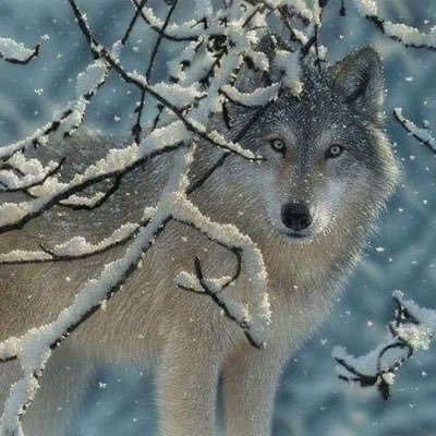 RobinBC6's profile picture. 