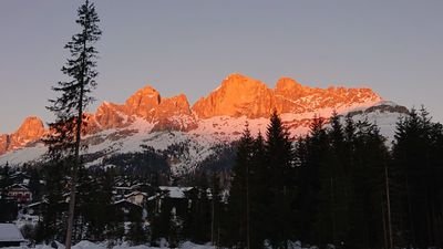 Connie92750082's profile picture. Seaside Author, Bound by Mountains
(No DM's PLEASE!🙏🏻)