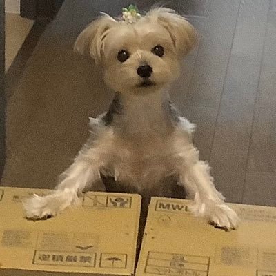 まっつんつん (@mattuntun47) / Posts / X