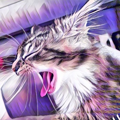 かふか 猫アイコンに反応中 Kurkafu Cha Twitter