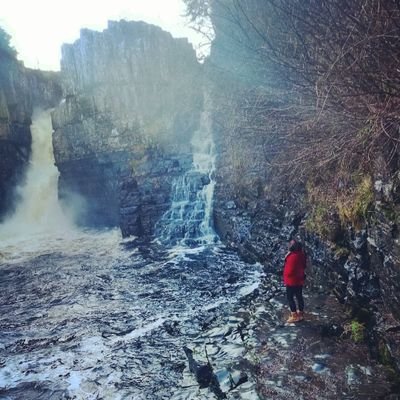 DSndesigns's profile picture. 