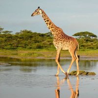 Visit Tanzania(@VisitTanzania1) 's Twitter Profile Photo