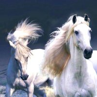 Altayyar Hamad (@altiar_h) 's Twitter Profile