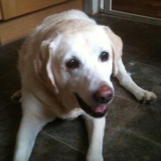 betematty's profile picture. 