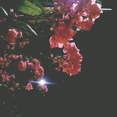 Geizelline20's profile picture. "Being honest gets you nowhere sometimes. It's better to just pretend."

-Claudette Montefalco