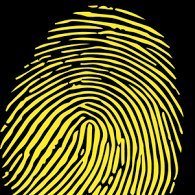 DigiDings's profile picture. #NewWork #DigitalTransformation #Collaboration #SAP #AWS #Azure #Google #GCP #SAP #Digidings