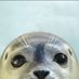 Ecomare (@ecomaretexel) Twitter profile photo Ecomare (@ecomaretexel) Twitter profile photo