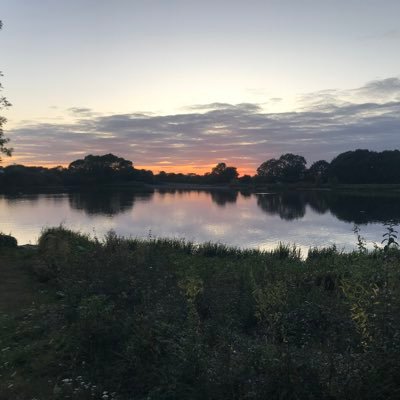 Dark_knight877's profile picture. 