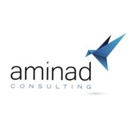 Aminad Consulting (@aminadconsult) 's Twitter Profile