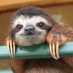 sloth (@sloth_pubg) Twitter profile photo sloth (@sloth_pubg) Twitter profile photo