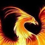 itisscripted's profile picture. American