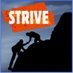 STRIVE - IIRMS, Dorset (@dorsetiirms) Twitter profile photo